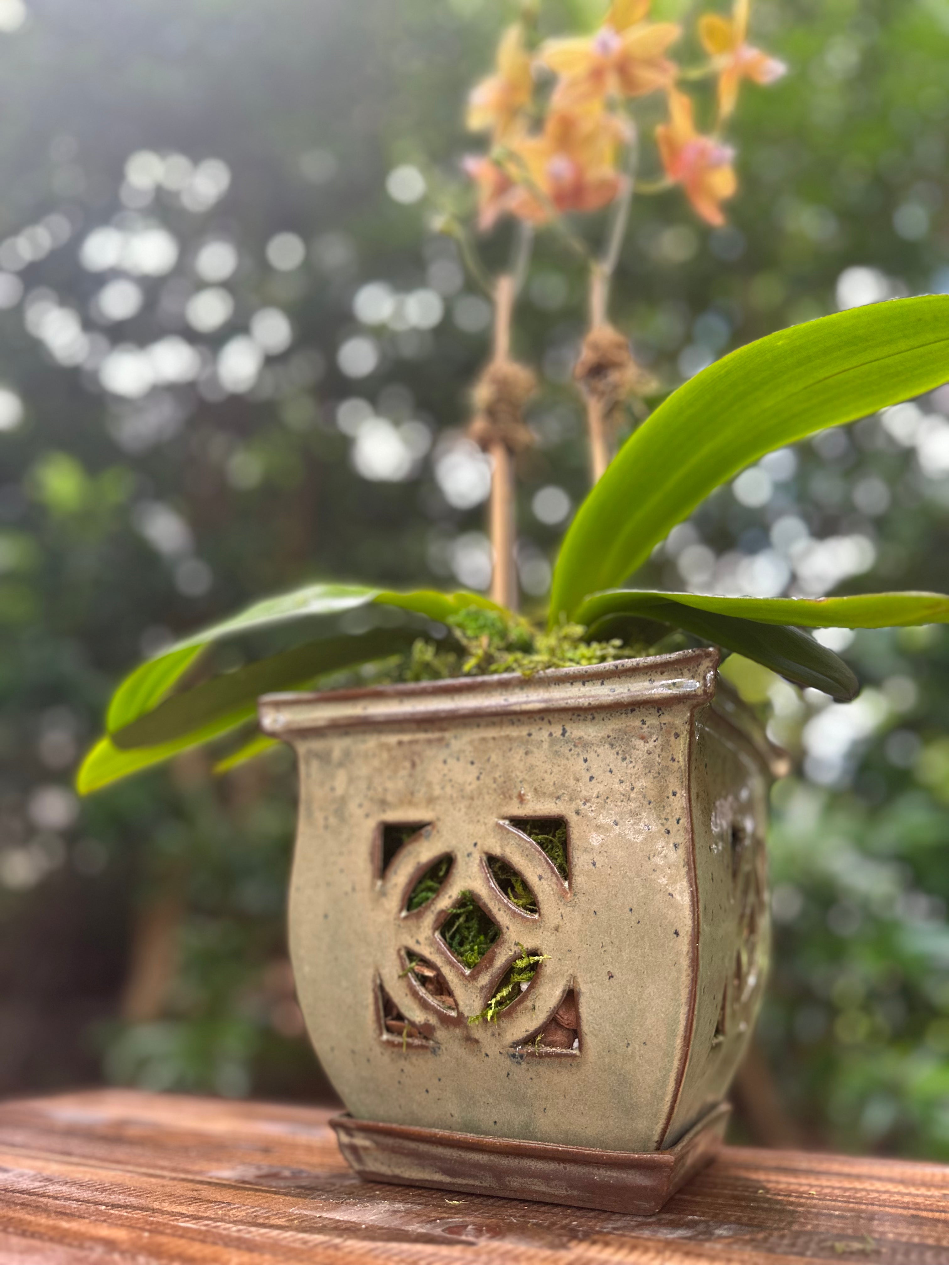 Avocado Green Orchid Pot