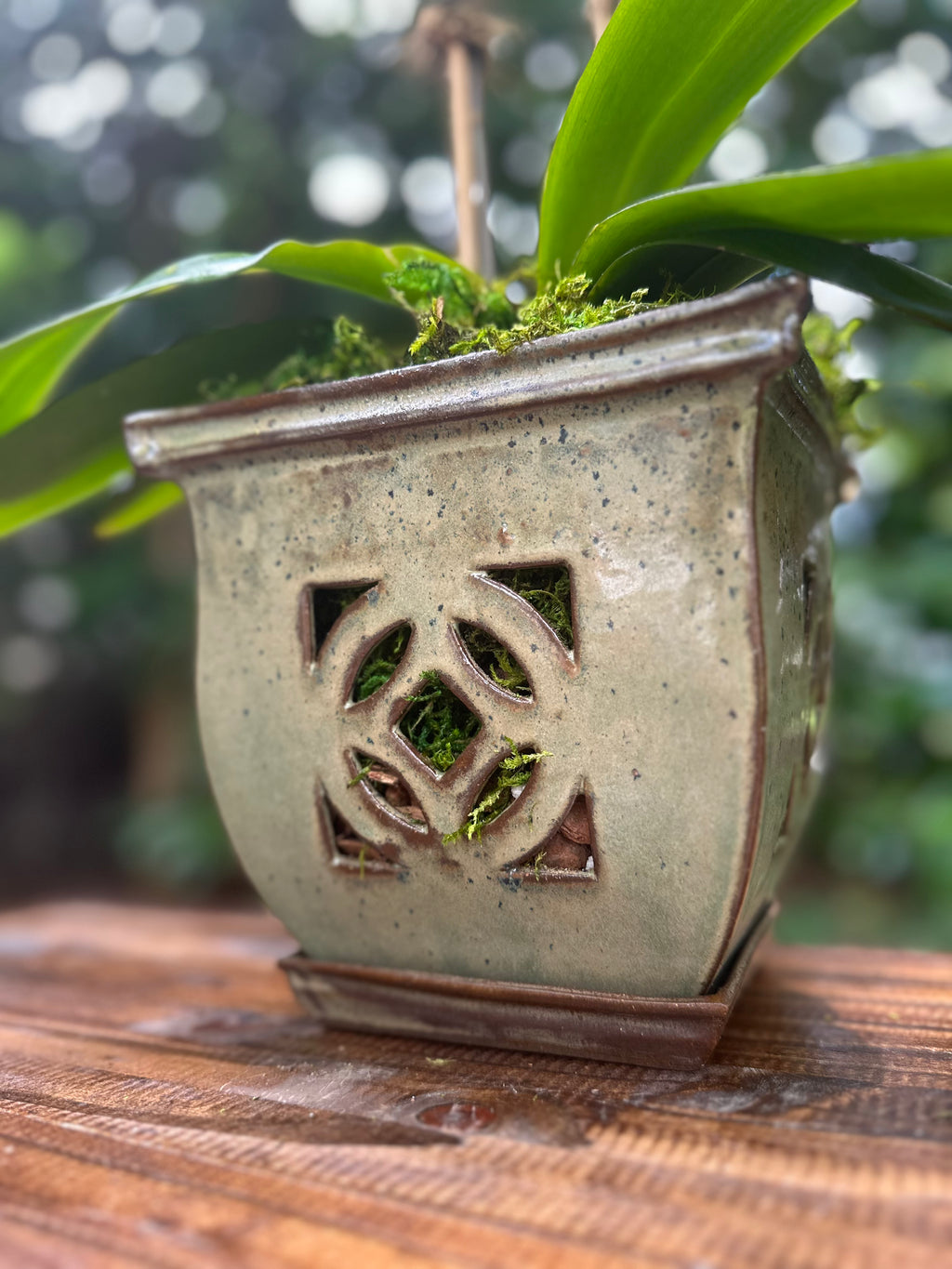 Avocado Green Orchid Pot
