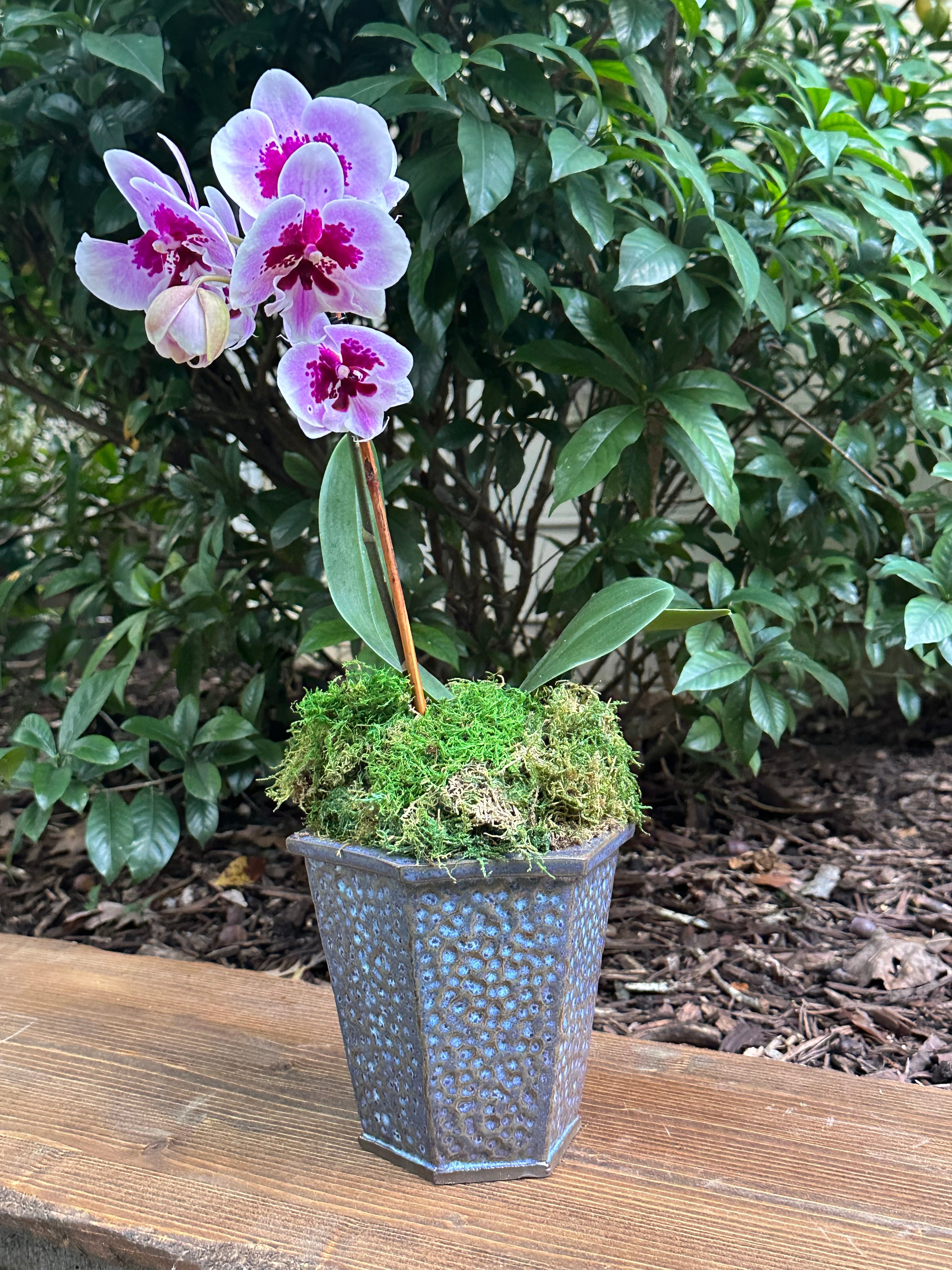 Hammered Texture Plant Pot